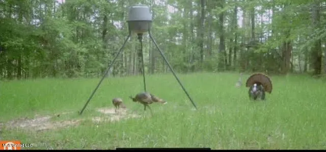 $1,750,000 | 0 Wade Road, West, MS 39192