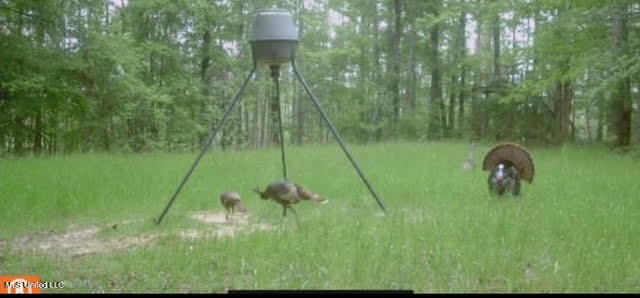 0 Wade Road West, MS 39192 - Photo 110 of 114 110