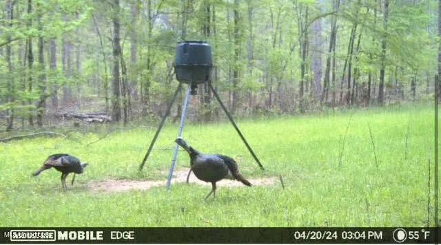 $1,750,000 | 0 Wade Road, West, MS 39192