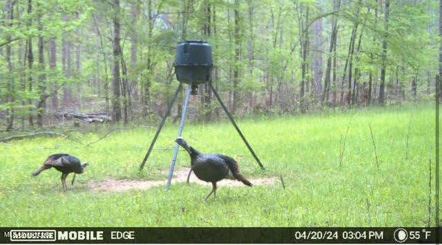 0 Wade Road West, MS 39192 - Photo 111 of 114 111