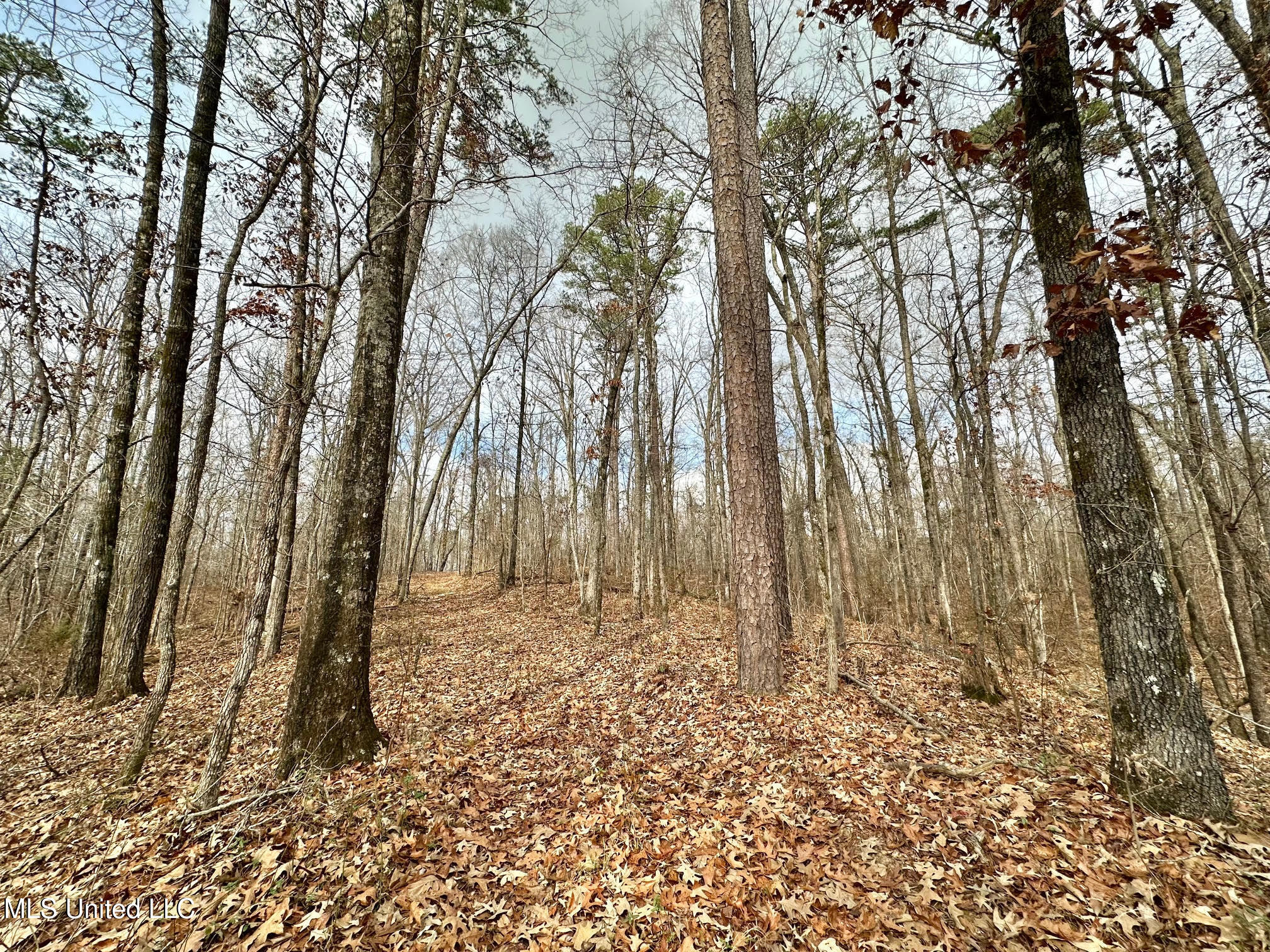 0 Wade Road West, MS 39192 - Photo 25 of 114 24