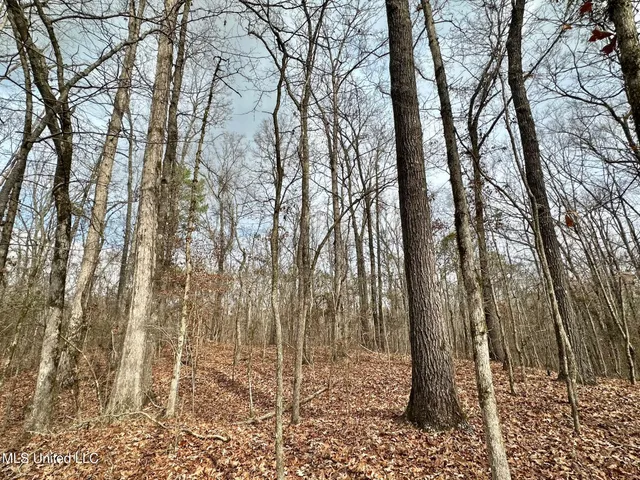 $1,750,000 | 0 Wade Road, West, MS 39192