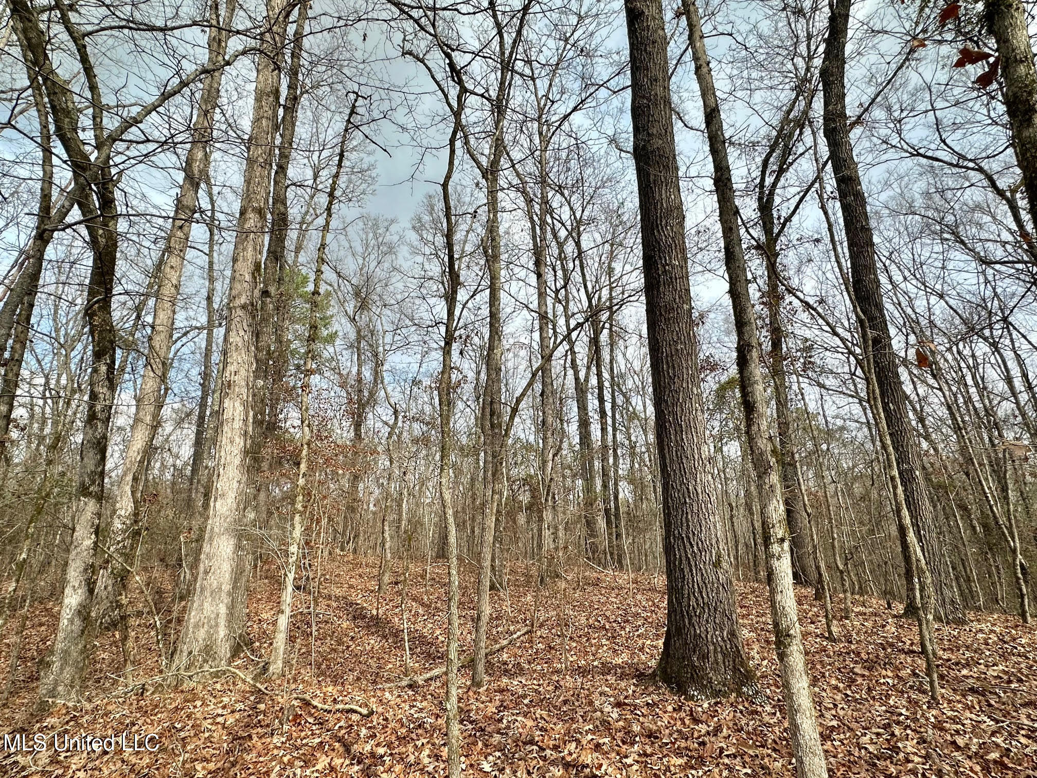 0 Wade Road West, MS 39192 - Photo 26 of 114 25