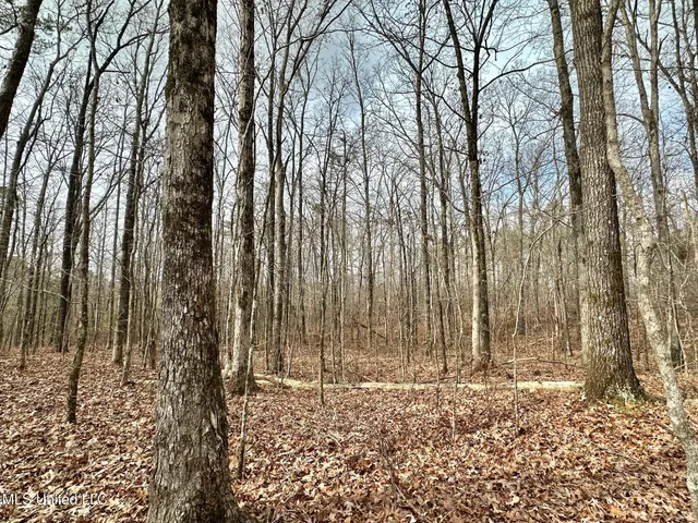 $1,750,000 | 0 Wade Road, West, MS 39192