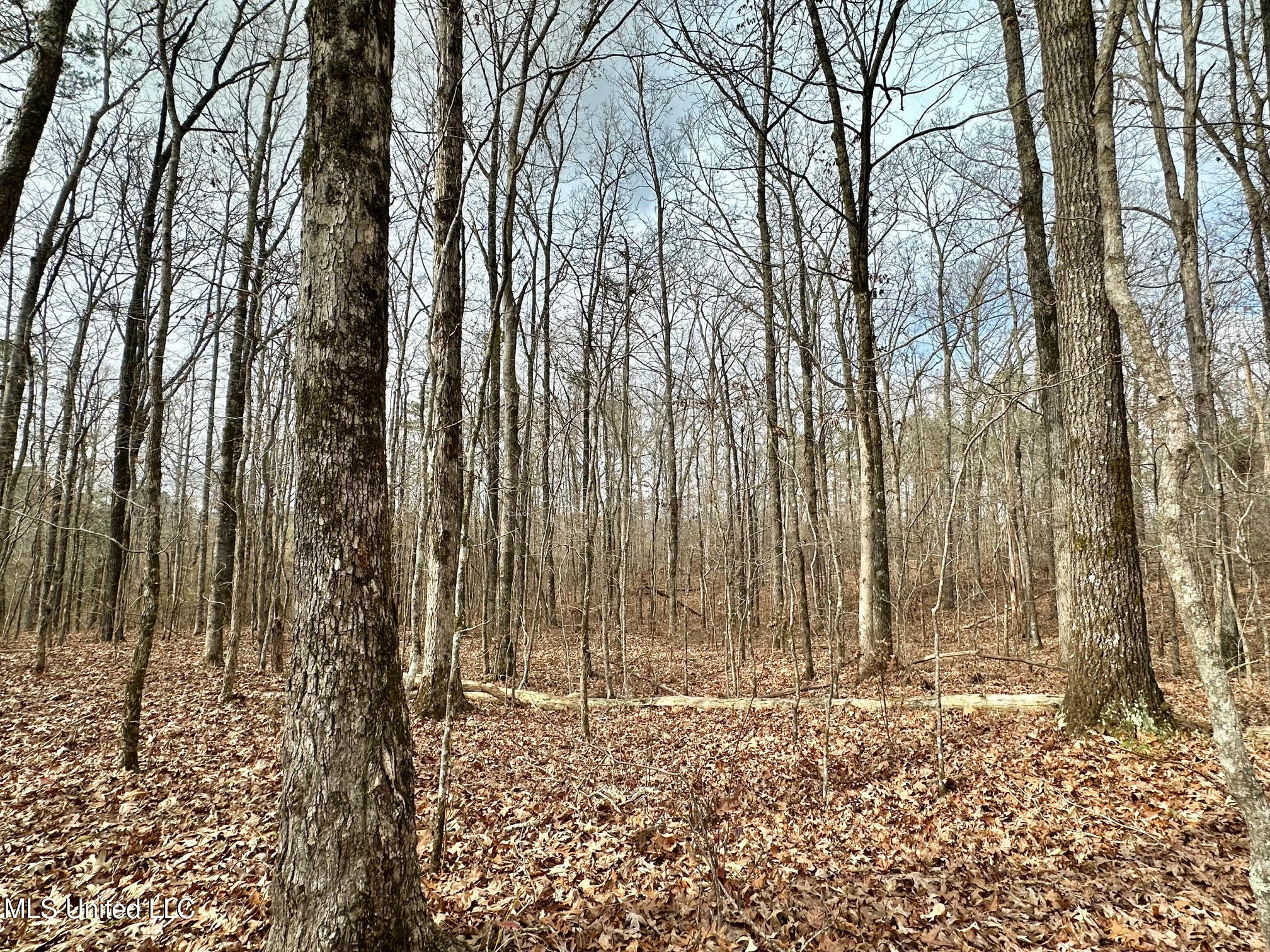 0 Wade Road West, MS 39192 - Photo 27 of 114 26