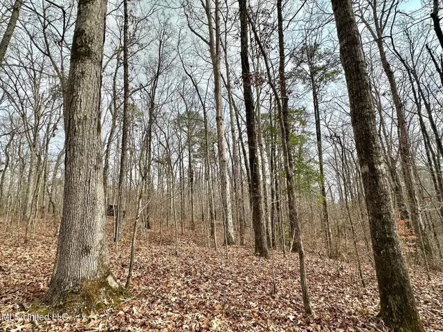 $1,750,000 | 0 Wade Road, West, MS 39192