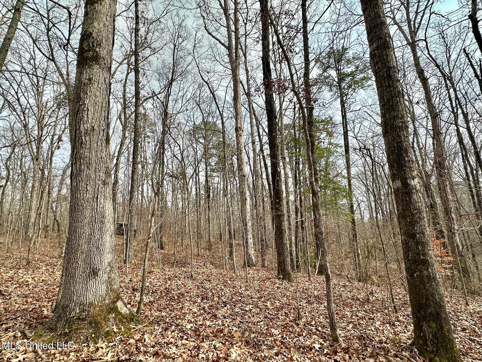 0 Wade Road West, MS 39192 - Photo 28 of 114 27