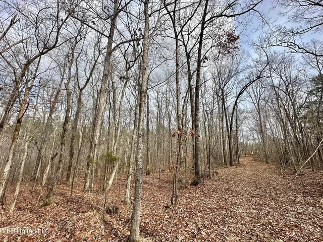 $1,750,000 | 0 Wade Road, West, MS 39192