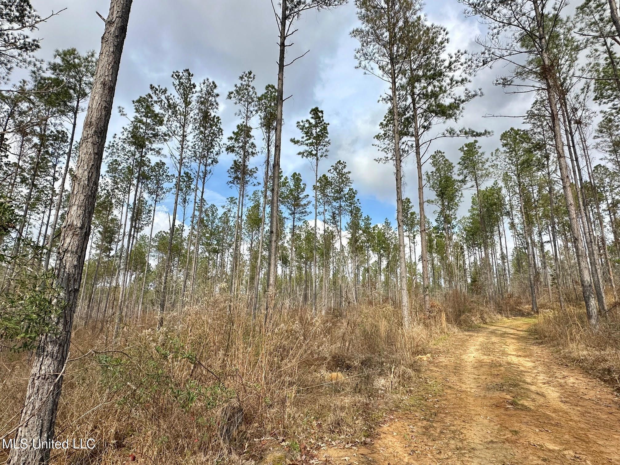 0 Wade Road West, MS 39192 - Photo 31 of 114 30