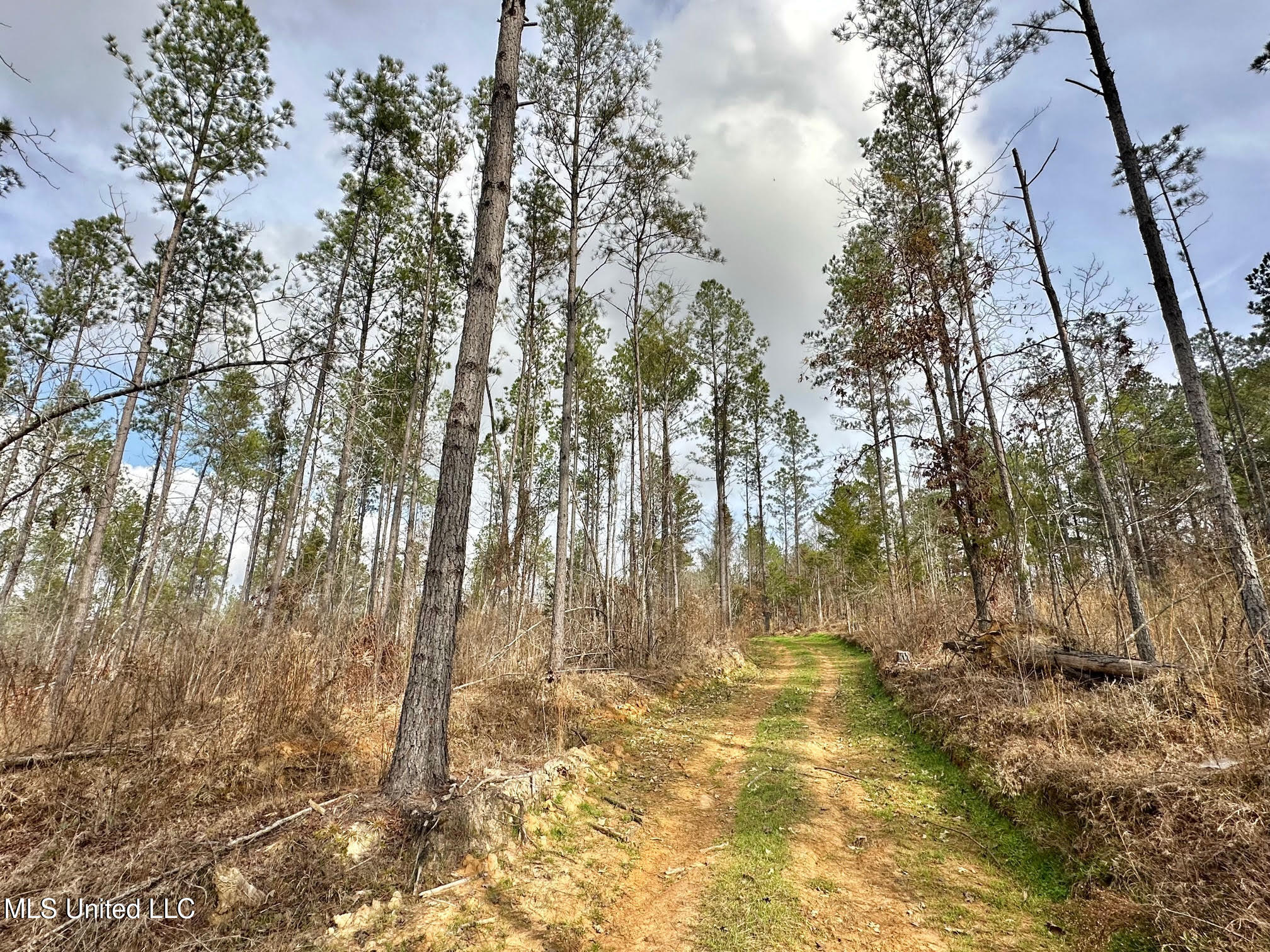0 Wade Road West, MS 39192 - Photo 32 of 114 31