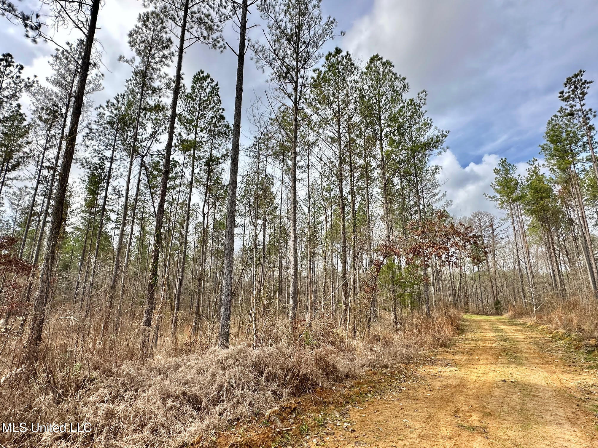 0 Wade Road West, MS 39192 - Photo 33 of 114 32