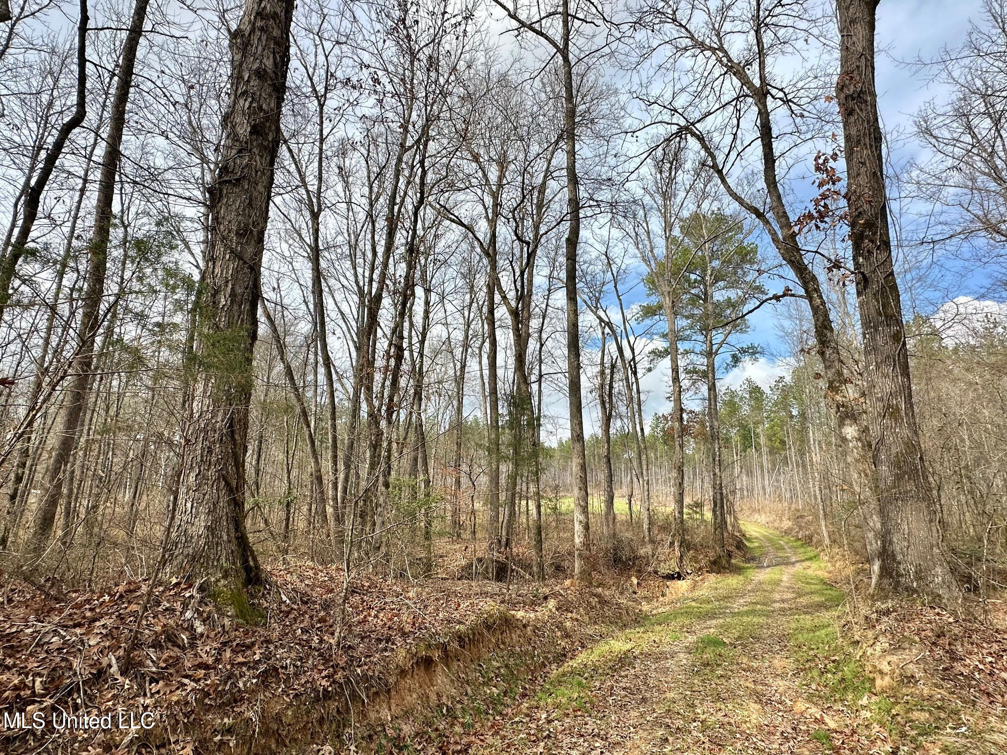 0 Wade Road West, MS 39192 - Photo 34 of 114 33