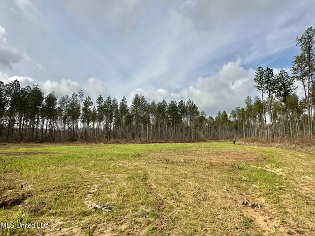 $1,750,000 | 0 Wade Road, West, MS 39192