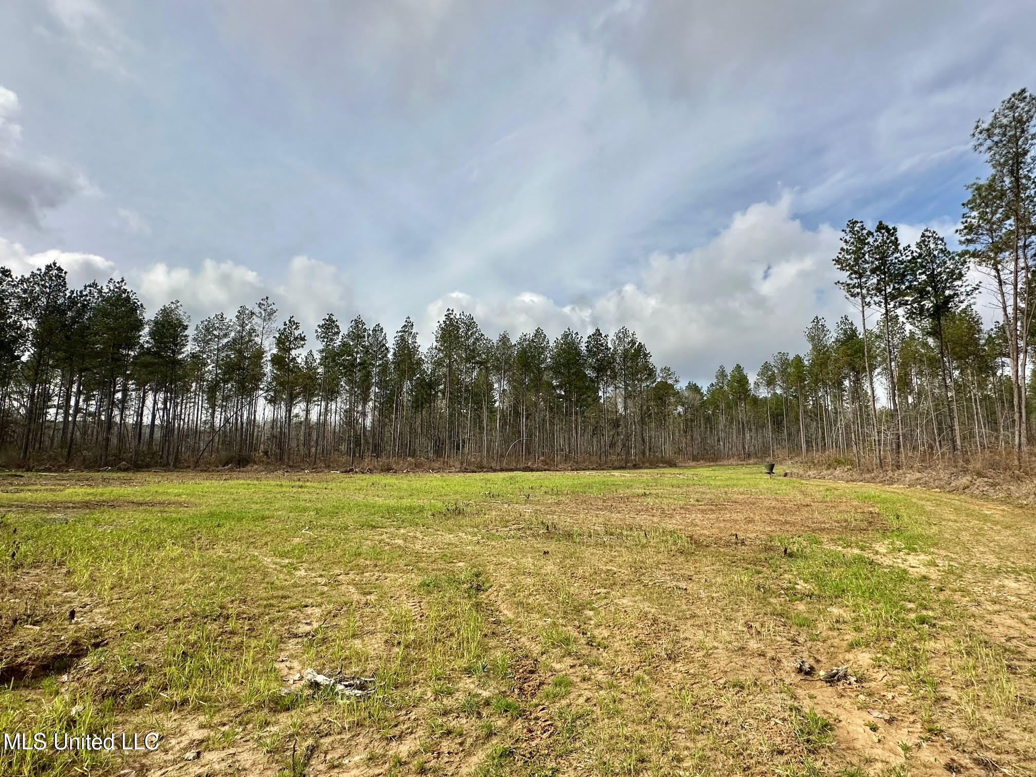 0 Wade Road West, MS 39192 - Photo 35 of 114 34
