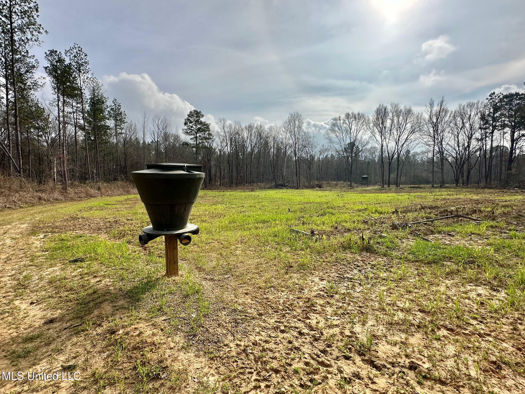 0 Wade Road West, MS 39192 - Photo 36 of 114 35