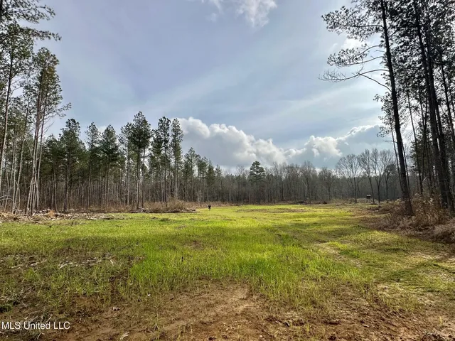 $1,750,000 | 0 Wade Road, West, MS 39192