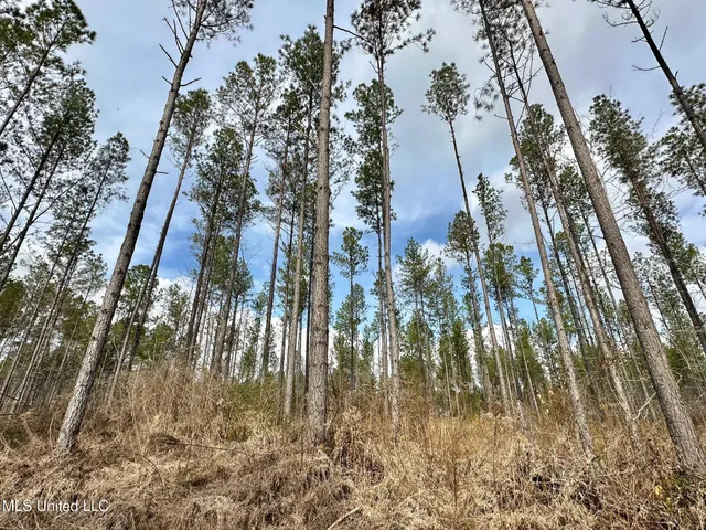 $1,750,000 | 0 Wade Road, West, MS 39192