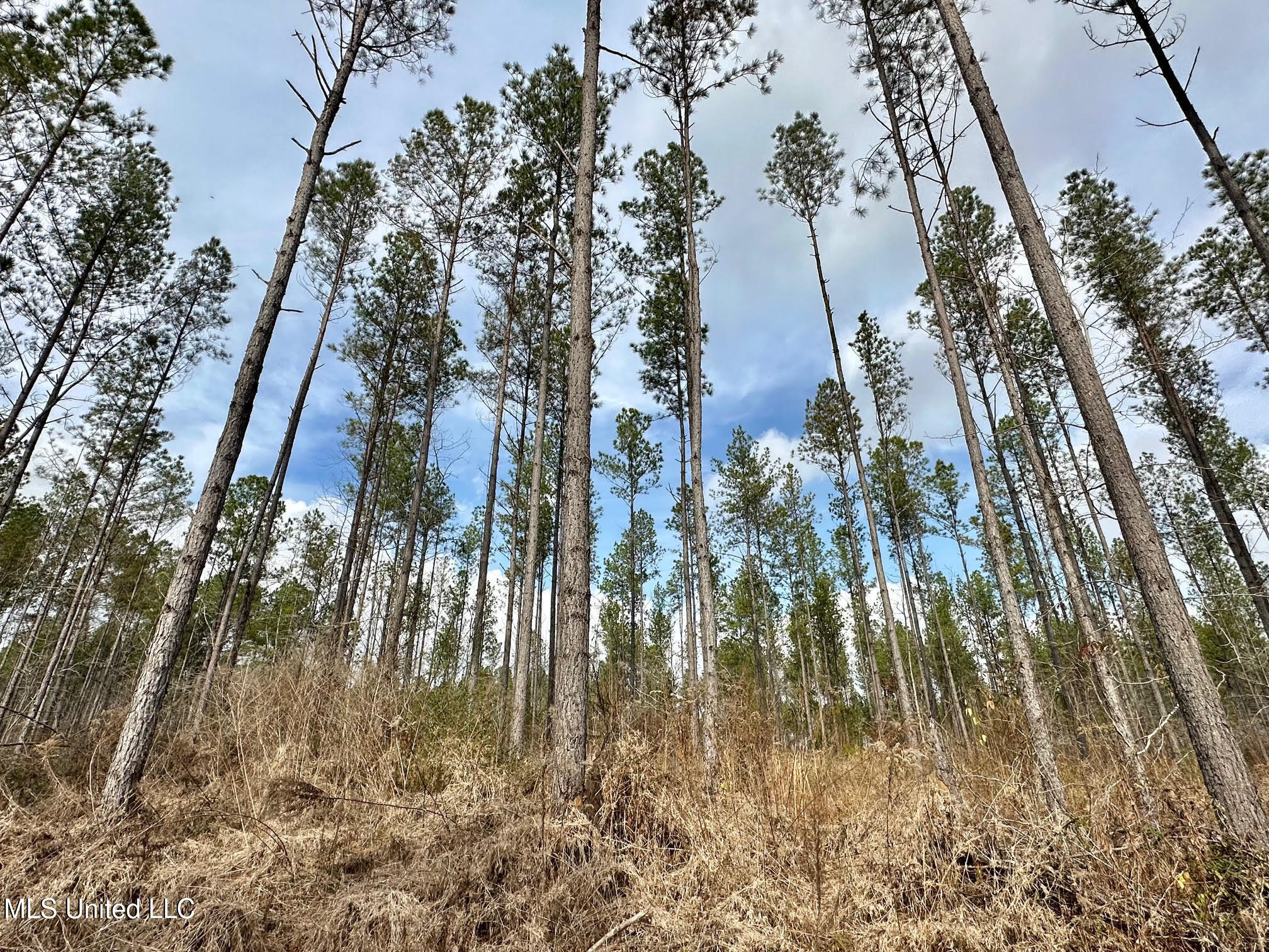 0 Wade Road West, MS 39192 - Photo 38 of 114 37