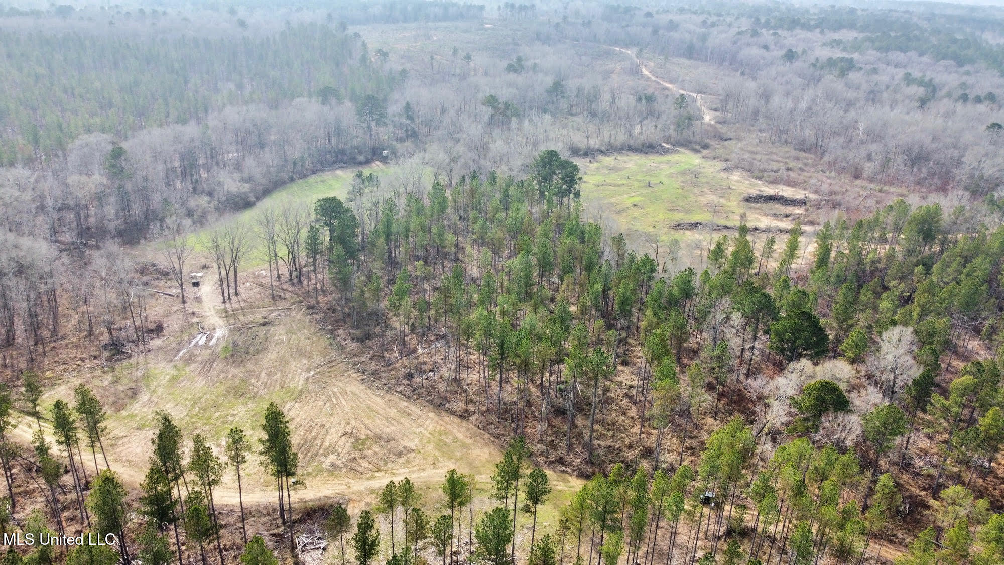 0 Wade Road West, MS 39192 - Photo 40 of 114 39