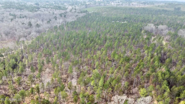 $1,750,000 | 0 Wade Road, West, MS 39192