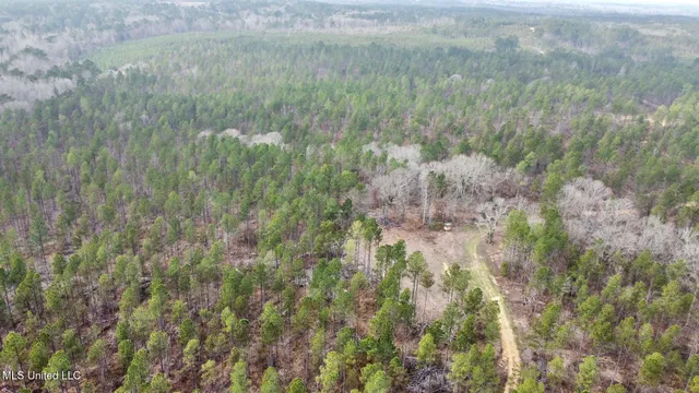 $1,750,000 | 0 Wade Road, West, MS 39192