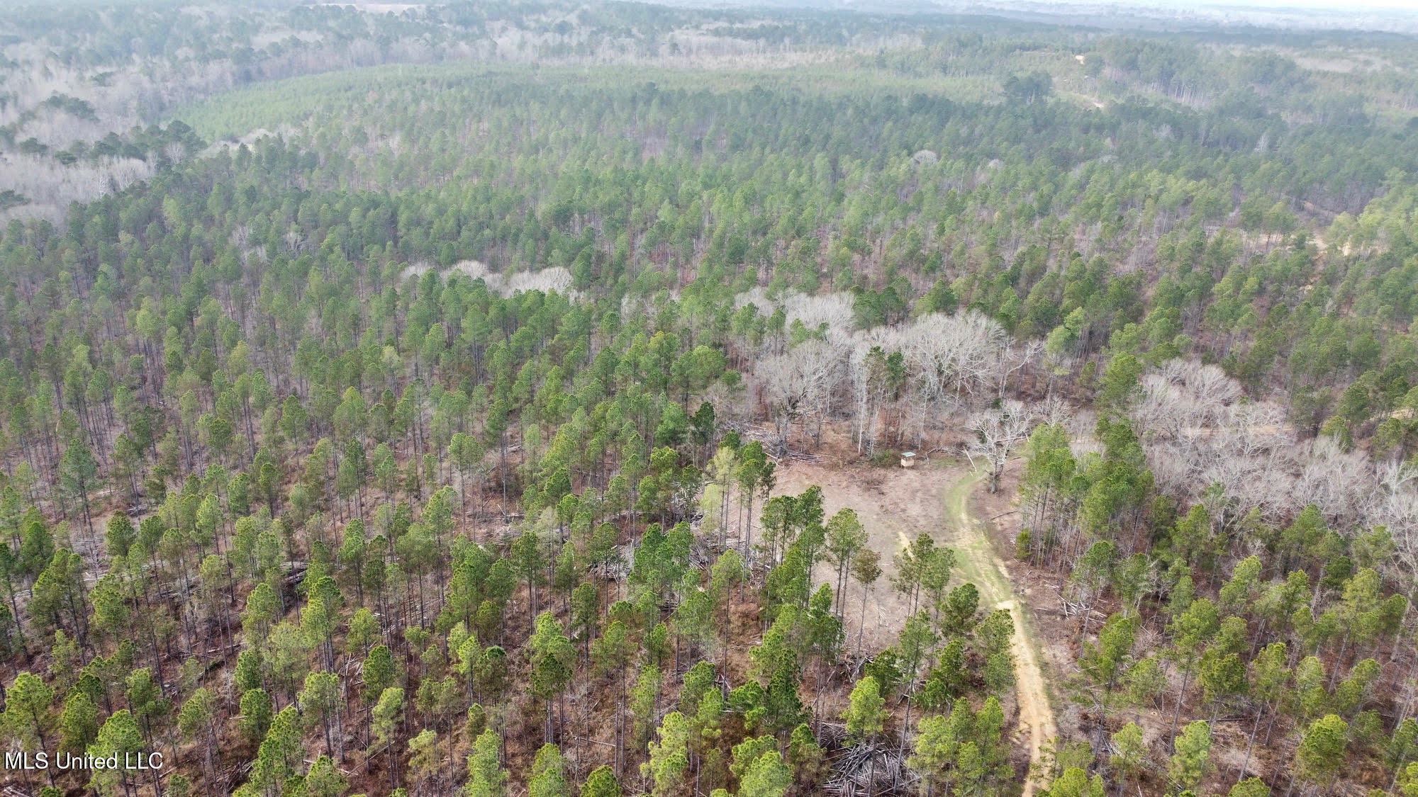 0 Wade Road West, MS 39192 - Photo 42 of 114 41