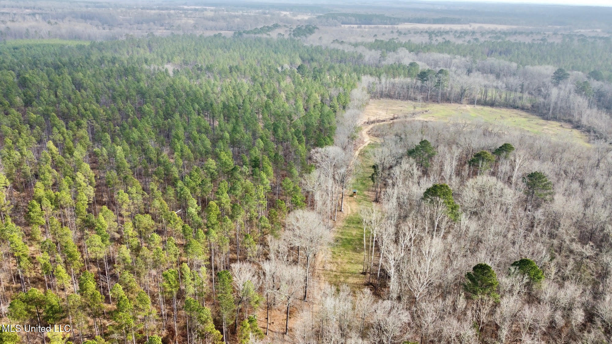 0 Wade Road West, MS 39192 - Photo 44 of 114 43