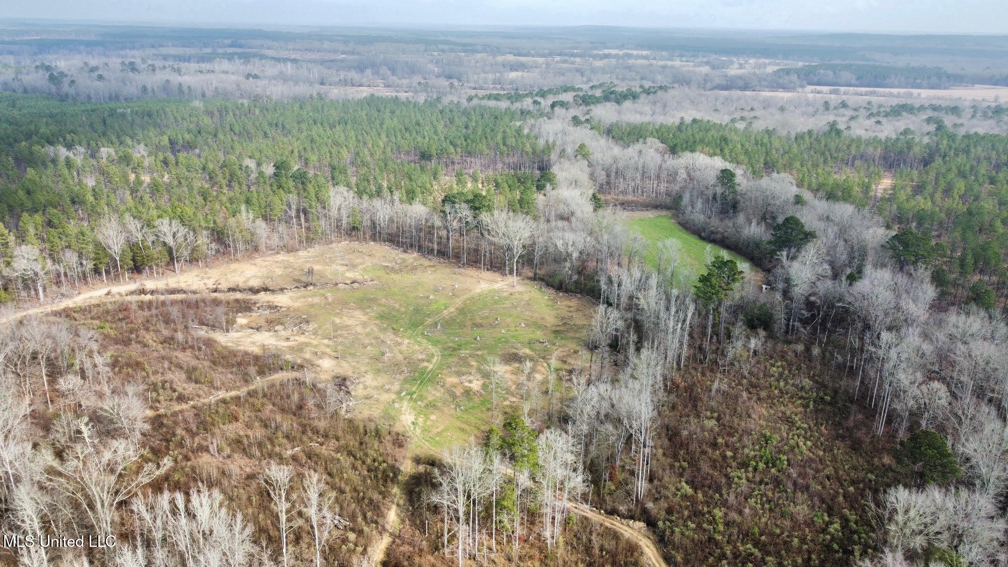 0 Wade Road West, MS 39192 - Photo 46 of 114 45