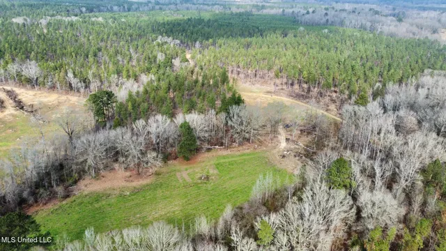 $1,750,000 | 0 Wade Road, West, MS 39192