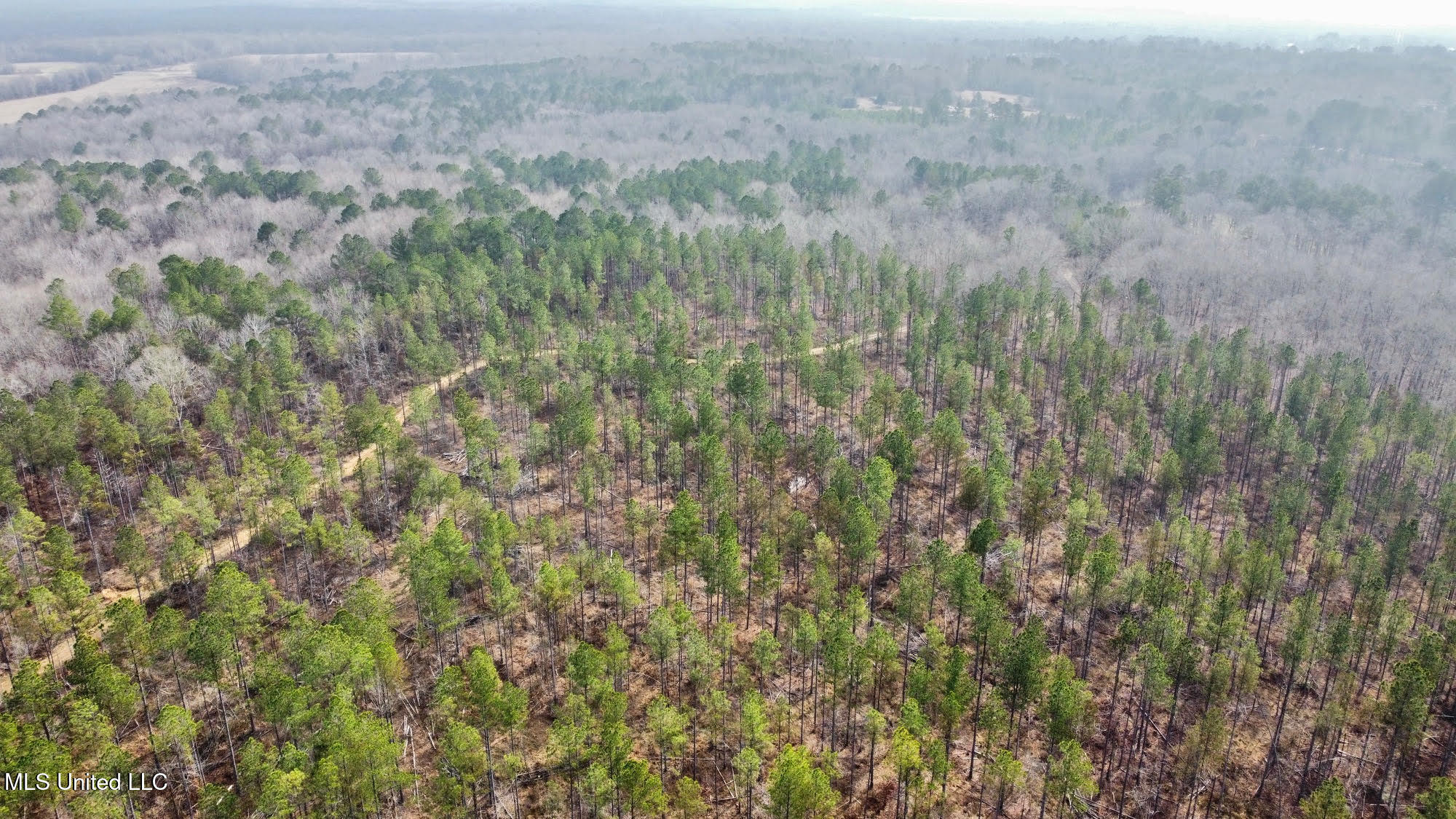 0 Wade Road West, MS 39192 - Photo 49 of 114 49