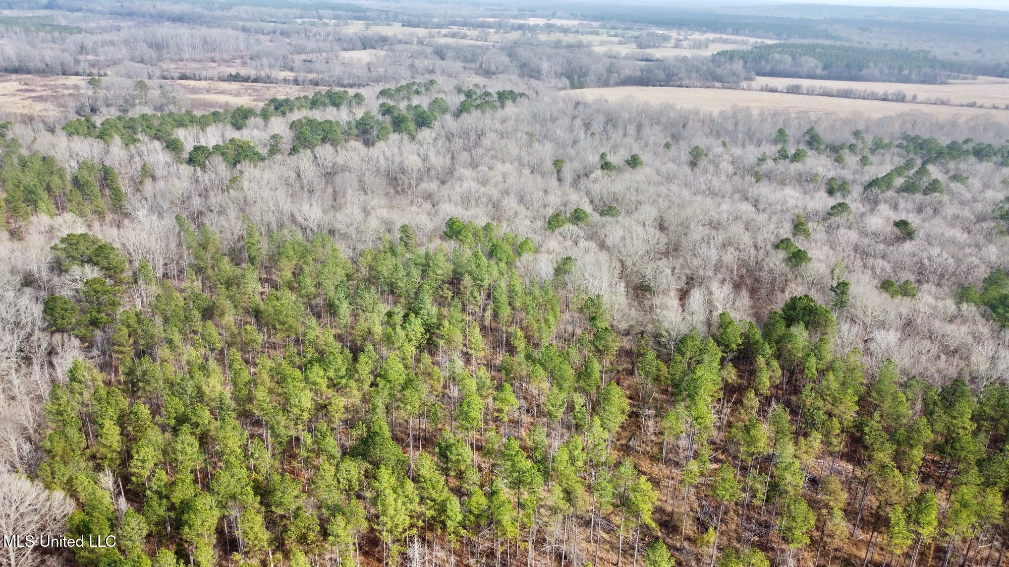 0 Wade Road West, MS 39192 - Photo 50 of 114 50