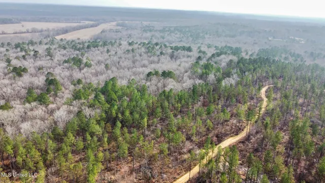 $1,750,000 | 0 Wade Road, West, MS 39192