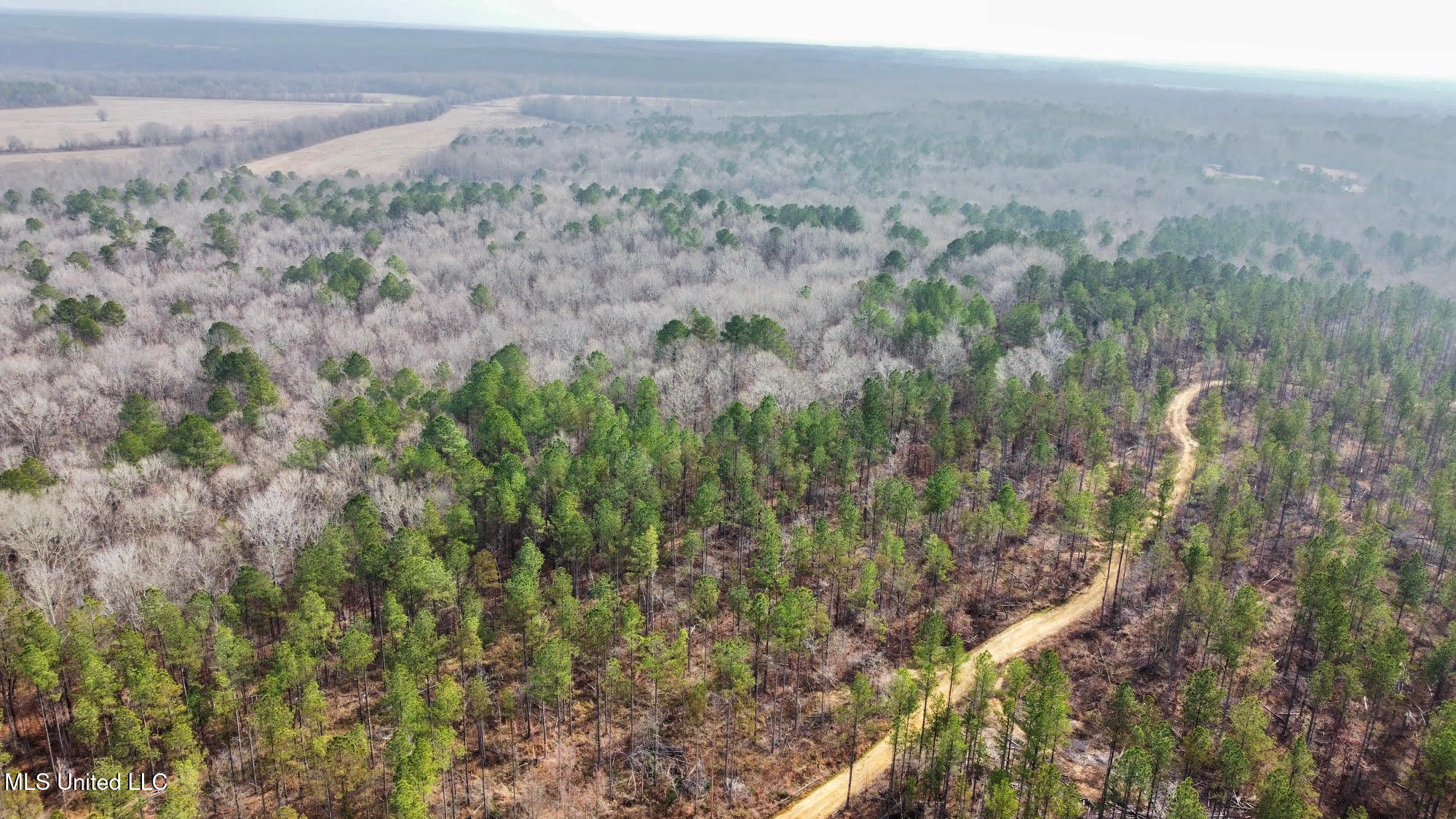0 Wade Road West, MS 39192 - Photo 51 of 114 51