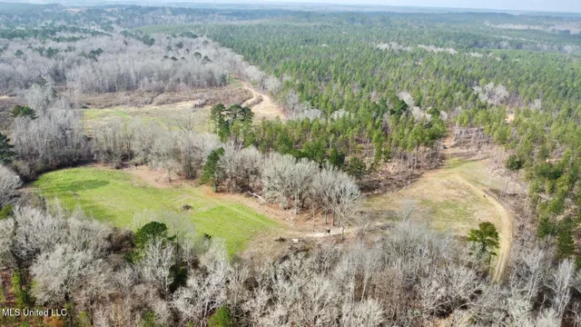 $1,750,000 | 0 Wade Road, West, MS 39192