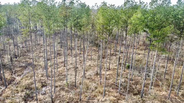 $1,750,000 | 0 Wade Road, West, MS 39192