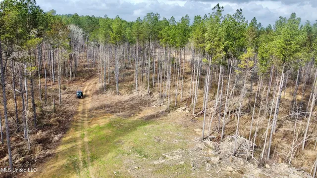 $1,750,000 | 0 Wade Road, West, MS 39192