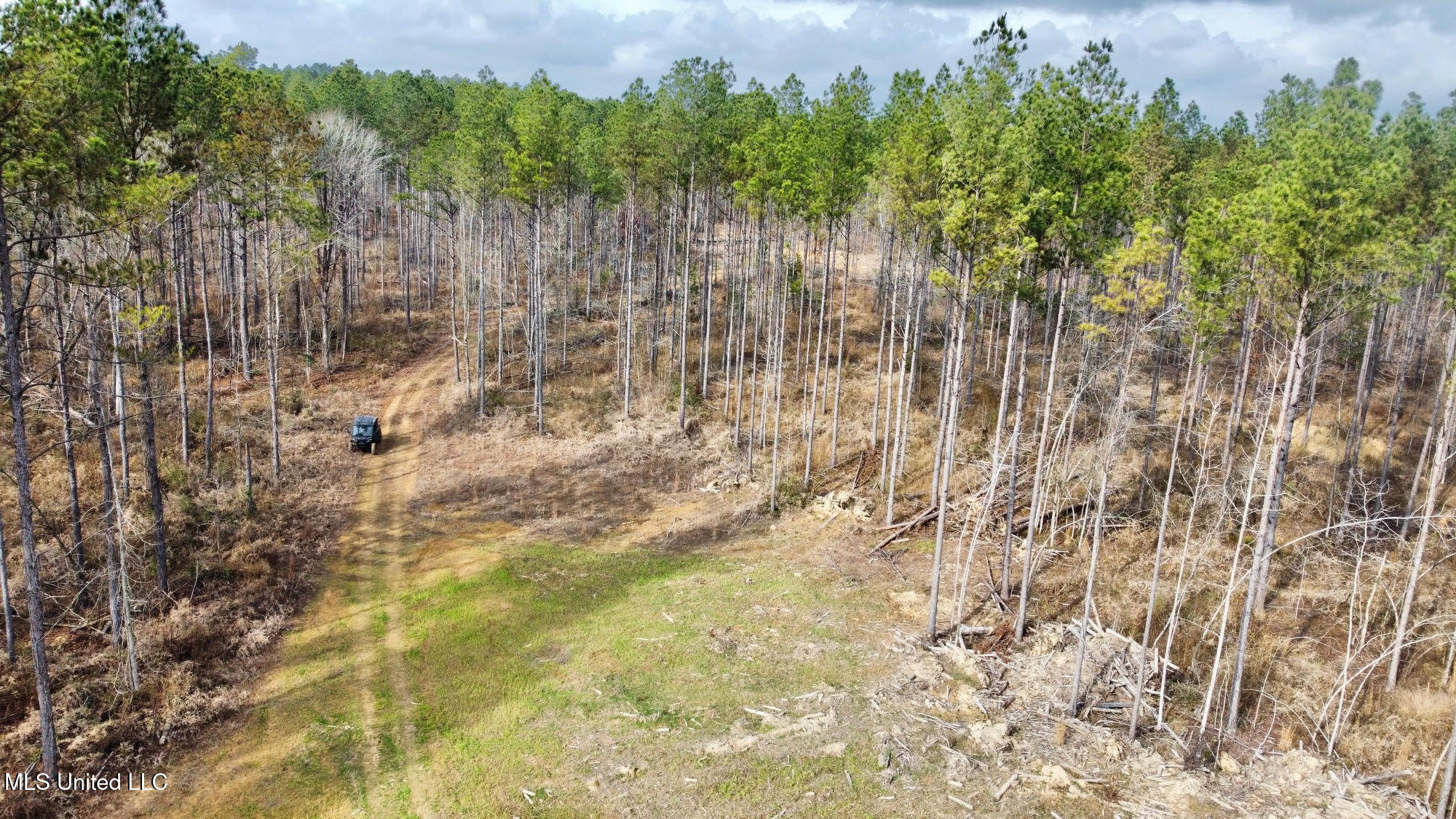 0 Wade Road West, MS 39192 - Photo 54 of 114 54