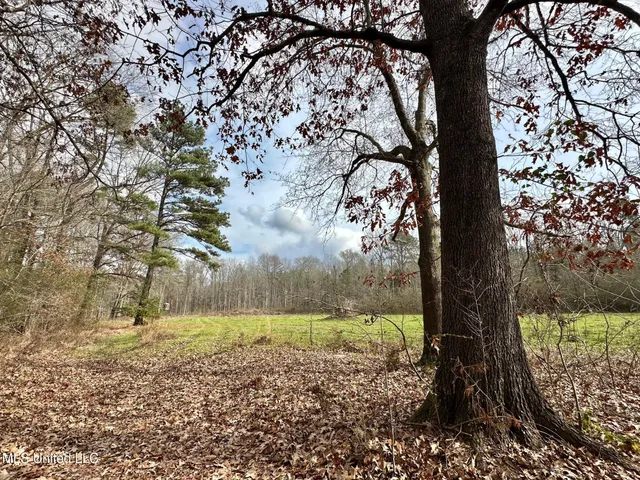 $1,750,000 | 0 Wade Road, West, MS 39192