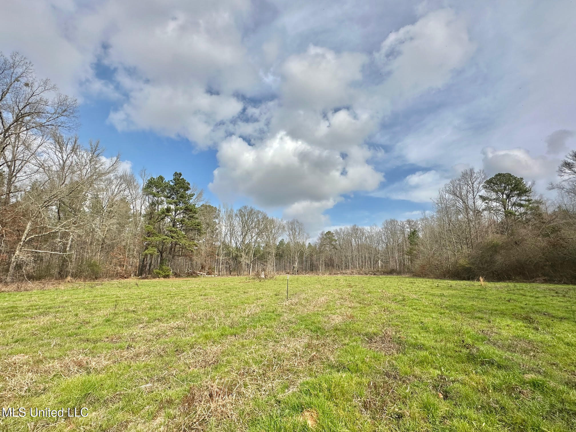 0 Wade Road West, MS 39192 - Photo 57 of 114 57