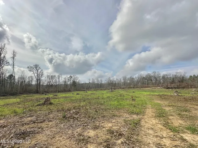 $1,750,000 | 0 Wade Road, West, MS 39192