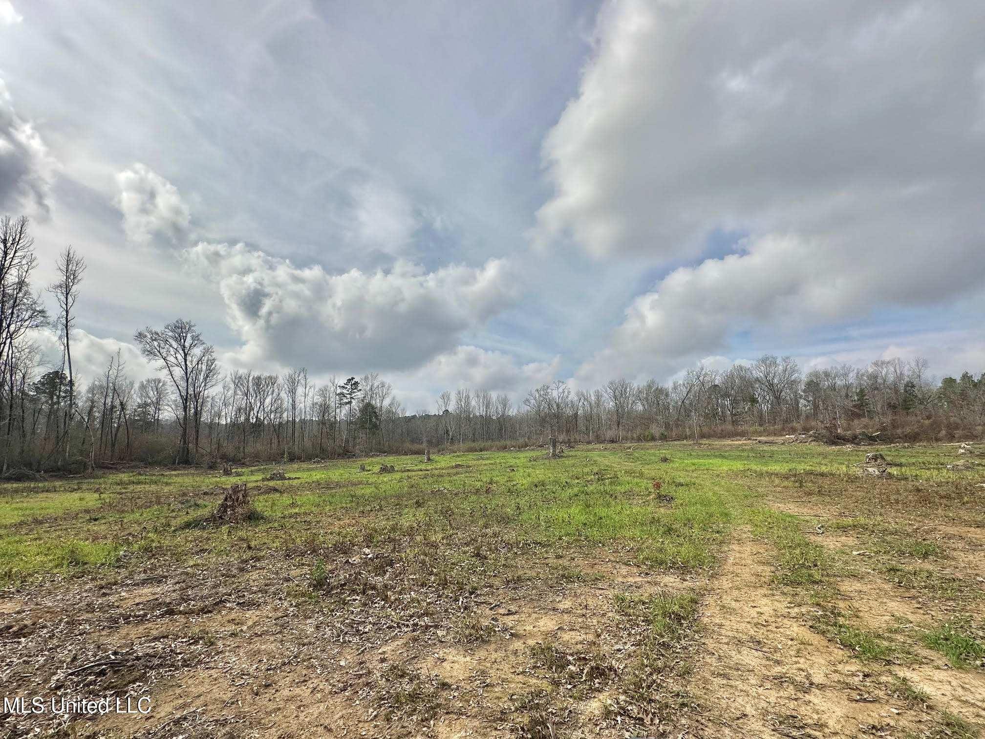 0 Wade Road West, MS 39192 - Photo 58 of 114 58