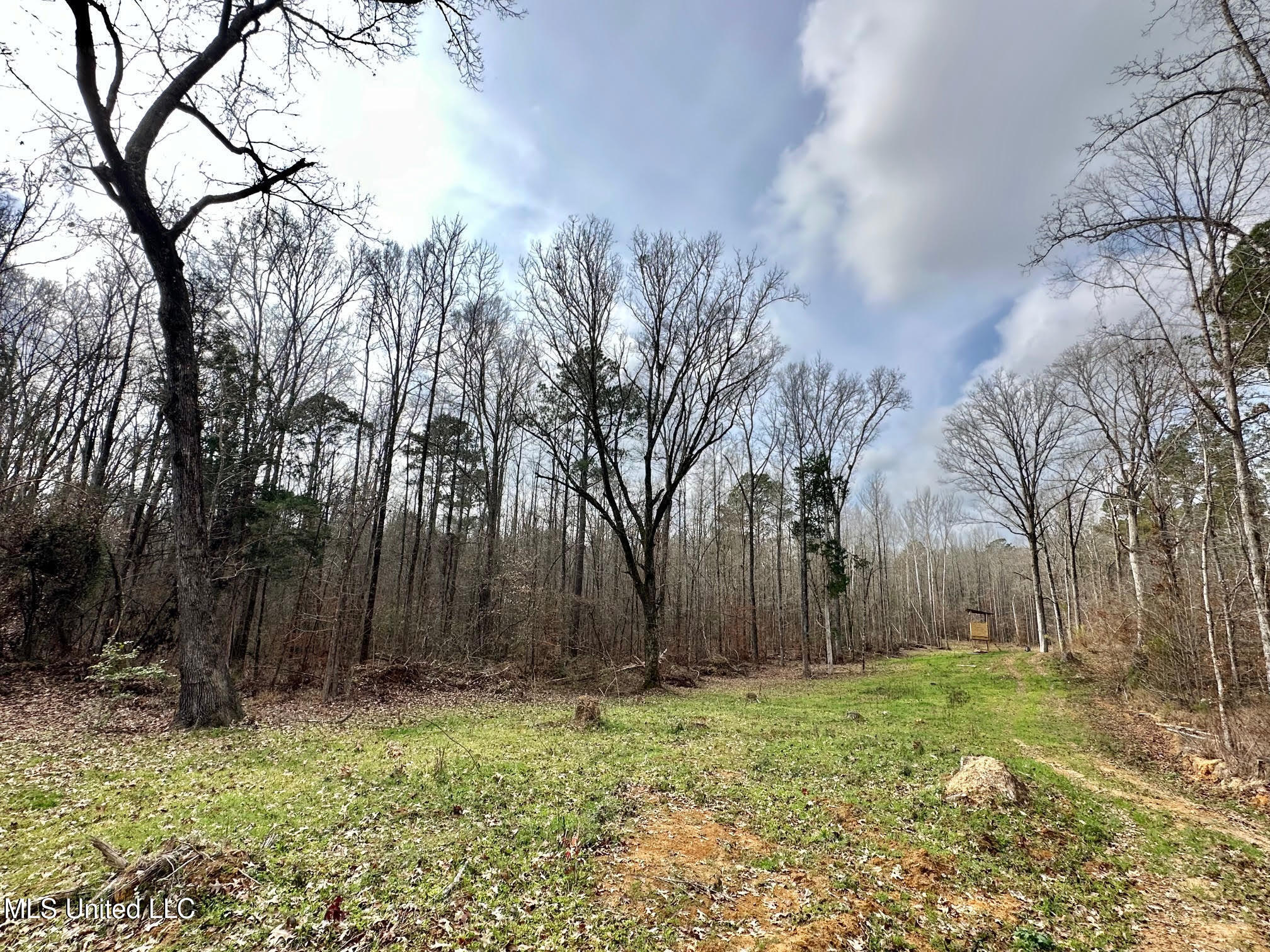0 Wade Road West, MS 39192 - Photo 59 of 114 59