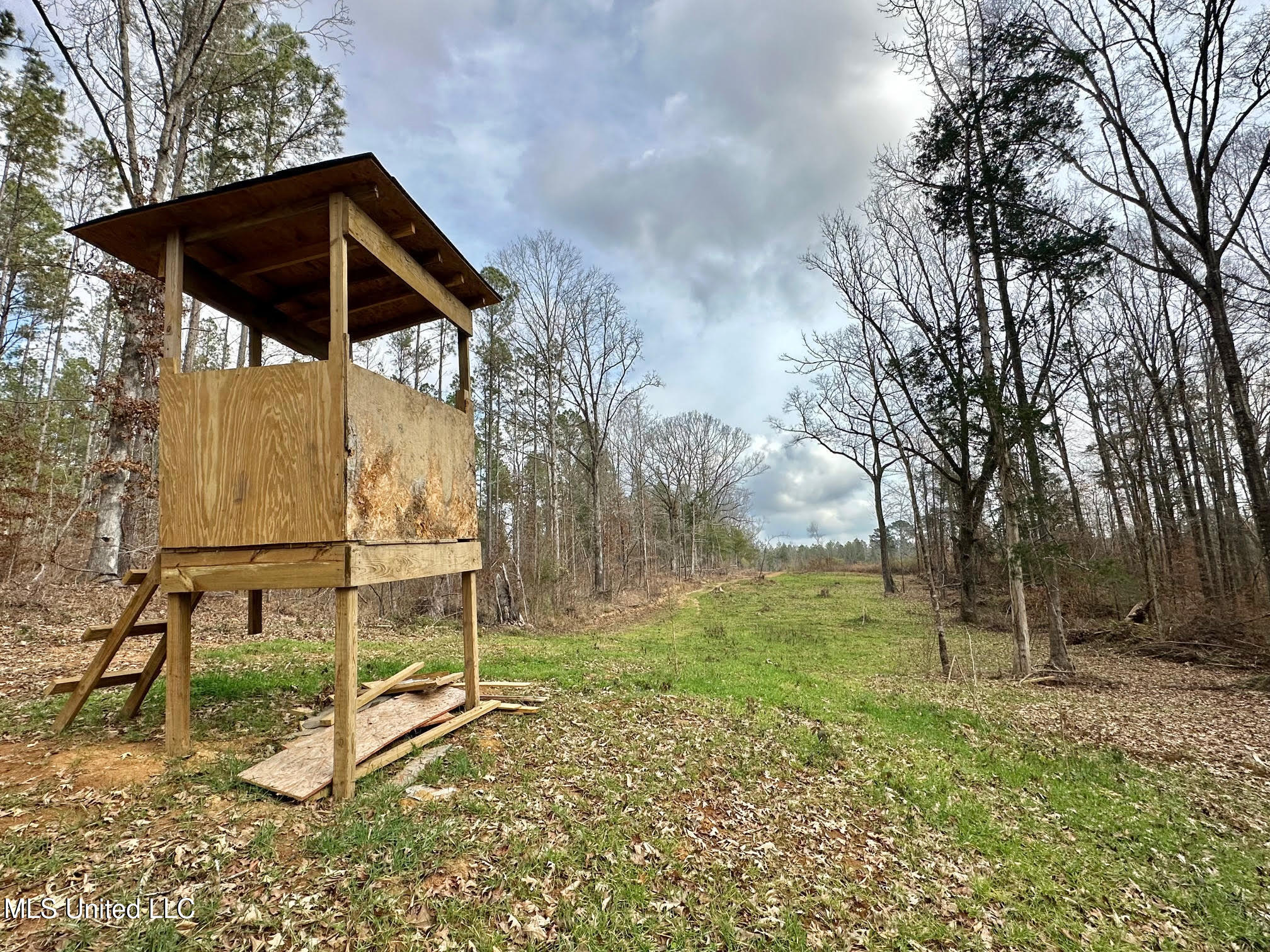 0 Wade Road West, MS 39192 - Photo 60 of 114 60