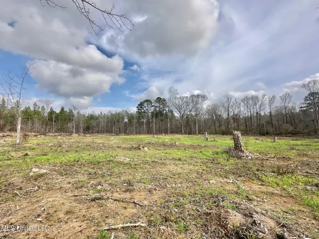 $1,750,000 | 0 Wade Road, West, MS 39192