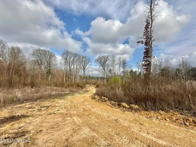 $1,750,000 | 0 Wade Road, West, MS 39192