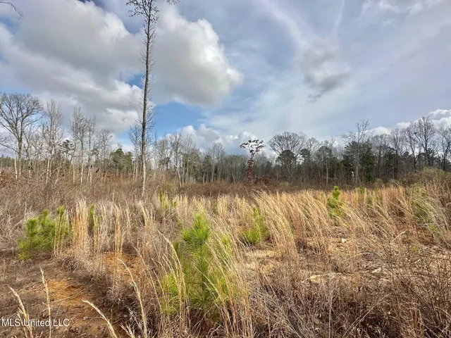 $1,750,000 | 0 Wade Road, West, MS 39192