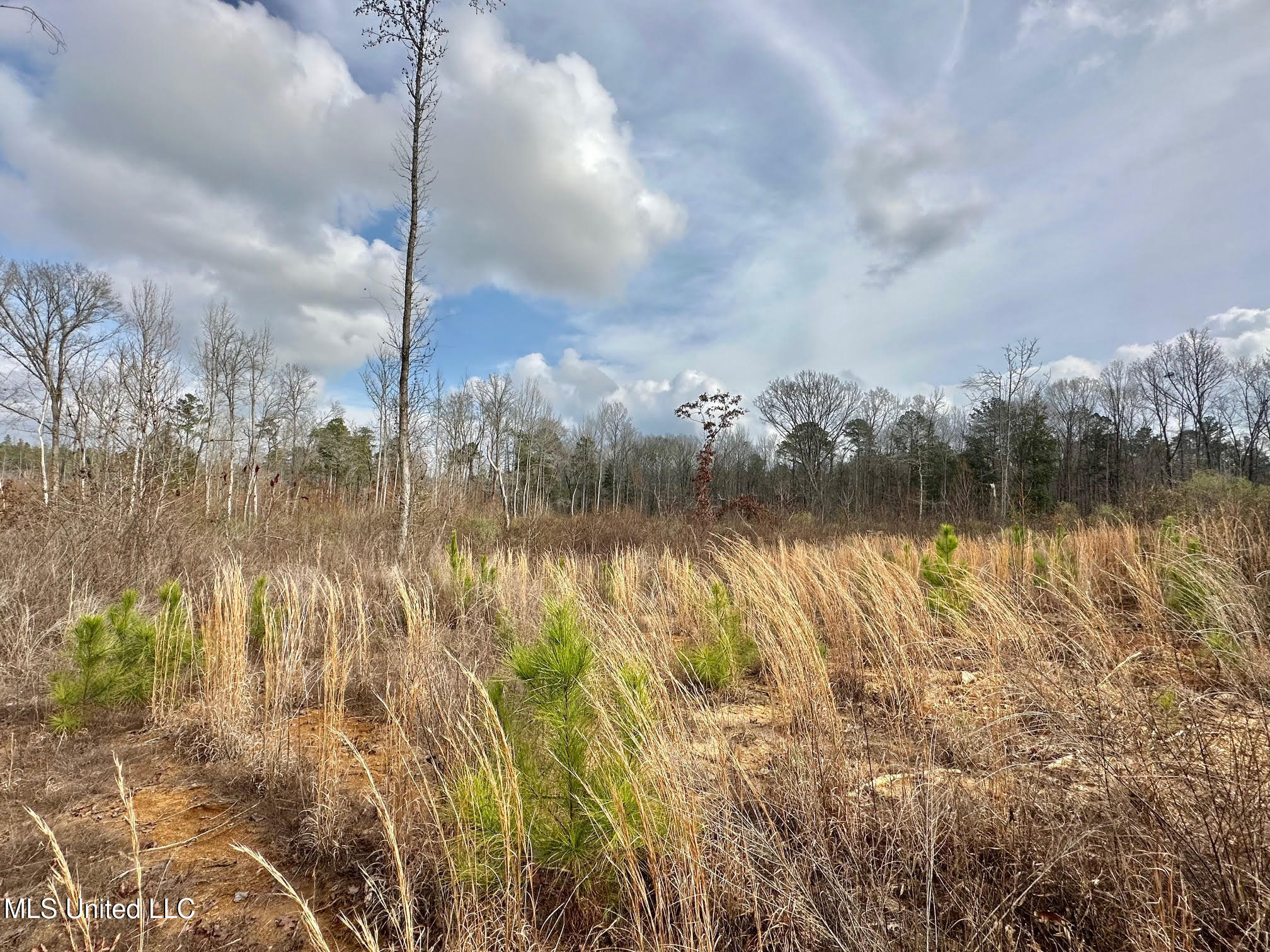 0 Wade Road West, MS 39192 - Photo 63 of 114 63