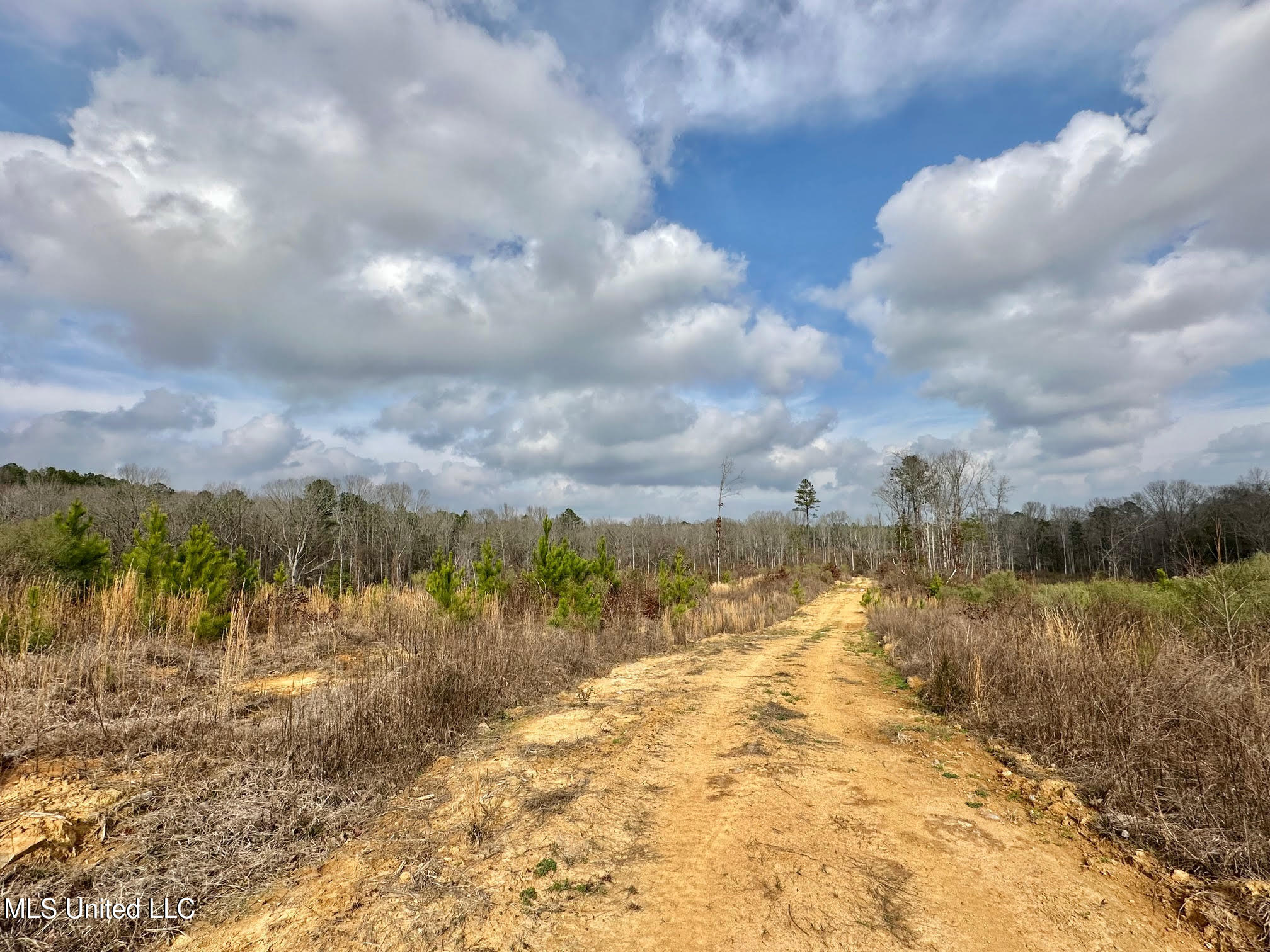 0 Wade Road West, MS 39192 - Photo 64 of 114 64