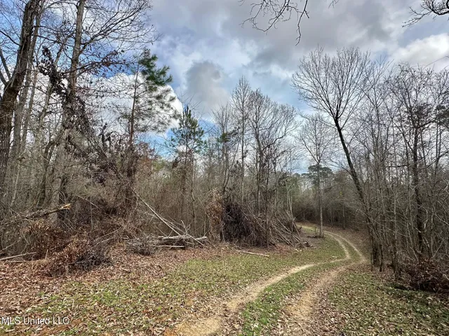 $1,750,000 | 0 Wade Road, West, MS 39192