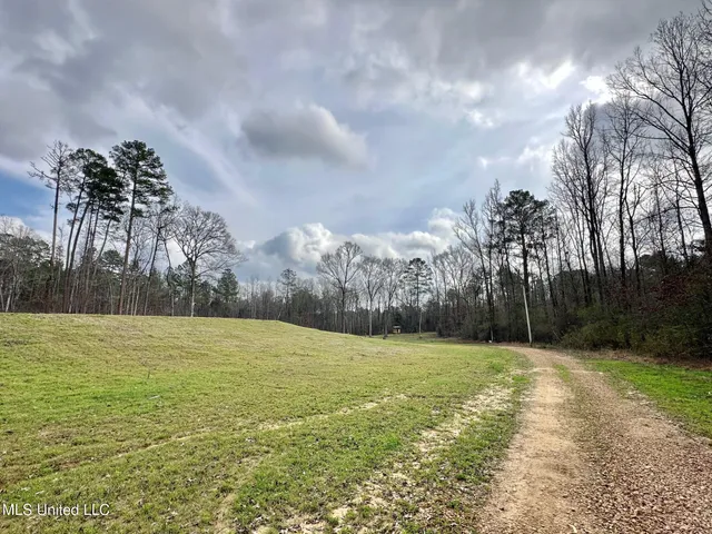 $1,750,000 | 0 Wade Road, West, MS 39192